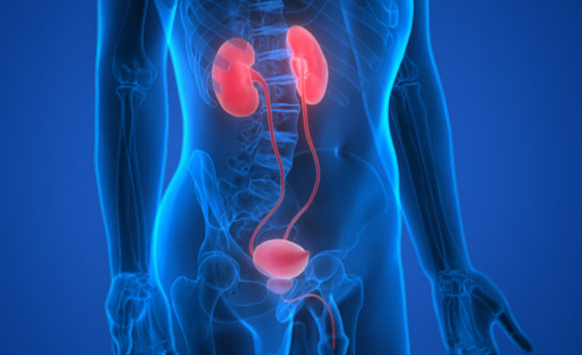 urolog